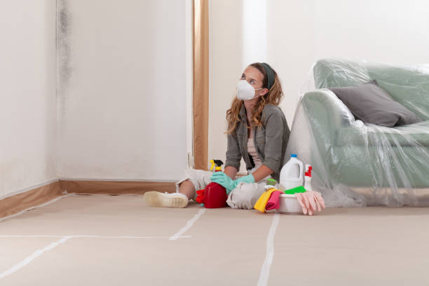 Reliable Crawl Space Mold Remediation contractor in Jacksonville, NC by Mold Remediation HQ